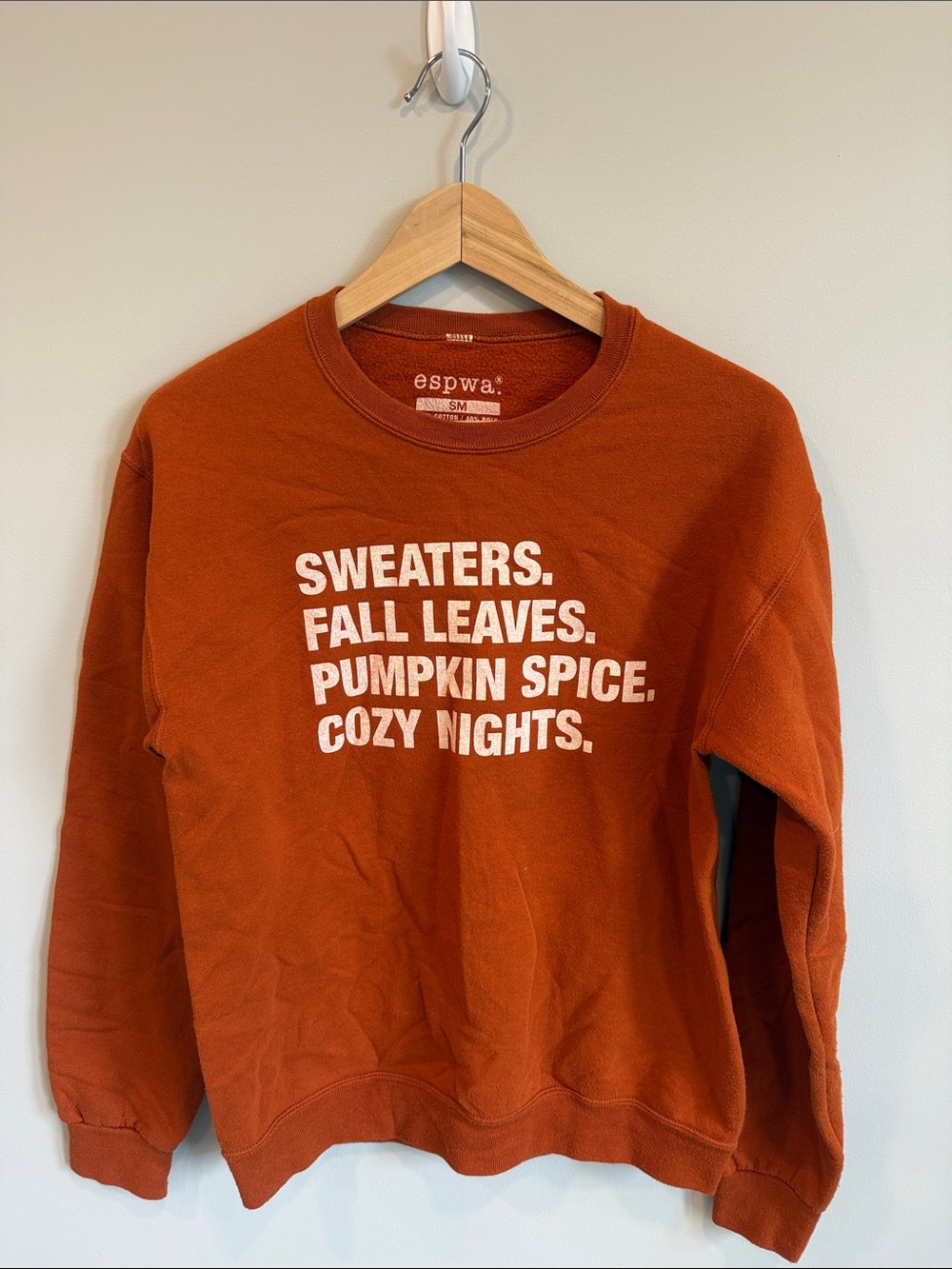 Rust Orange Graphic Pullover Sweatshirt